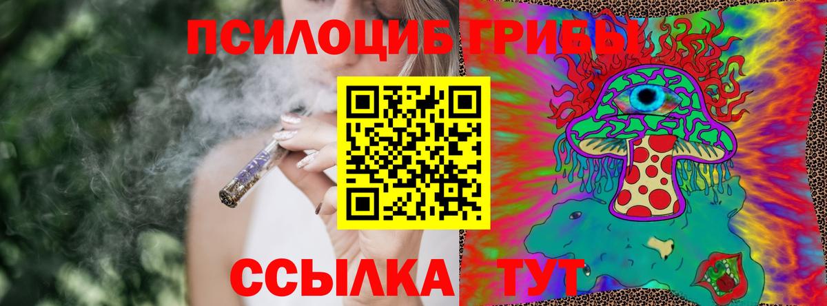 Псилоцибиновые грибы прущие грибы  где купить наркоту  Малоярославец  Вход с VPN  Псилоцибиновые грибы ЛСД 