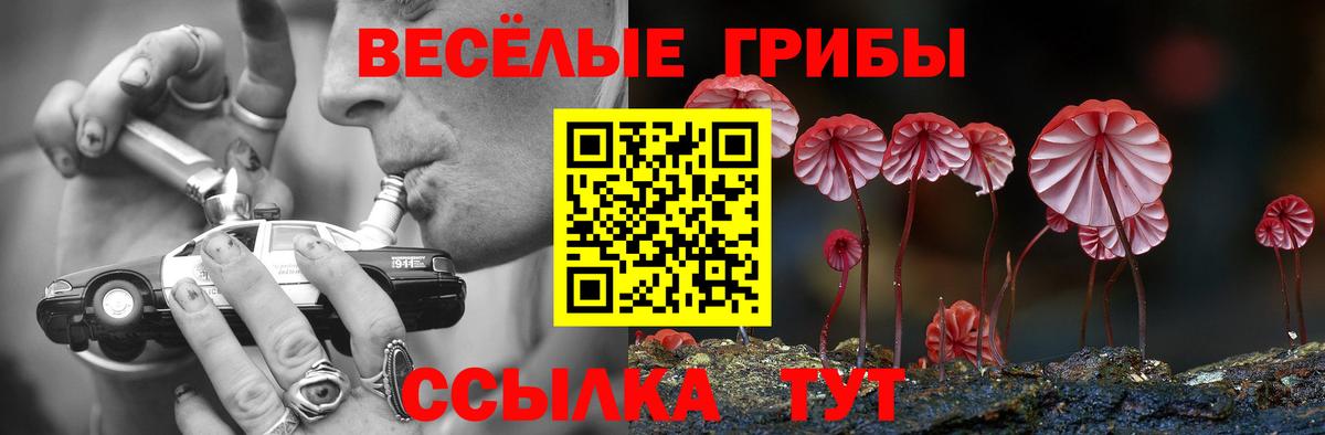 Галлюциногенные грибы Psilocybine cubensis Малоярославец